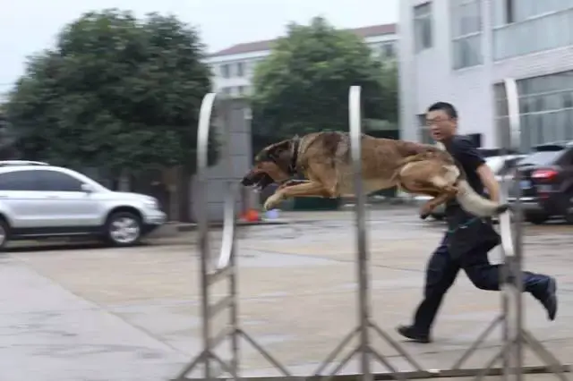如何制定智能篮球训练计划_2